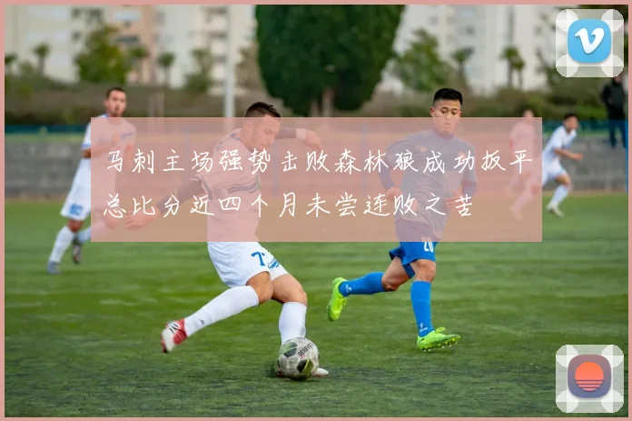 马刺主场强势击败森林狼成功扳平总比分近四个月未尝连败之苦