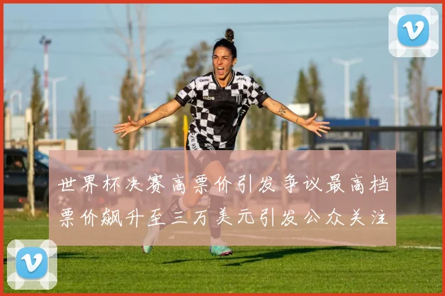 世界杯决赛高票价引发争议最高档票价飙升至三万美元引发公众关注