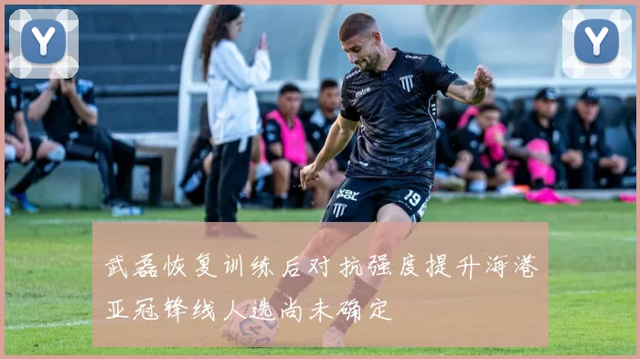 武磊恢复训练后对抗强度提升海港亚冠锋线人选尚未确定