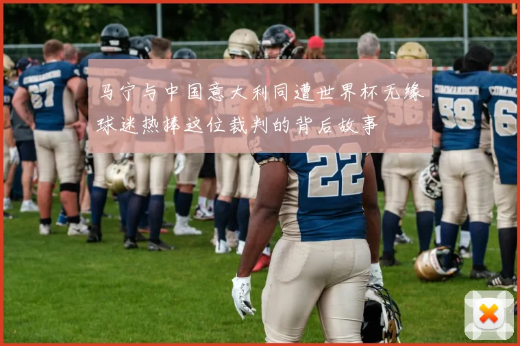 马宁与中国意大利同遭世界杯无缘球迷热捧这位裁判的背后故事